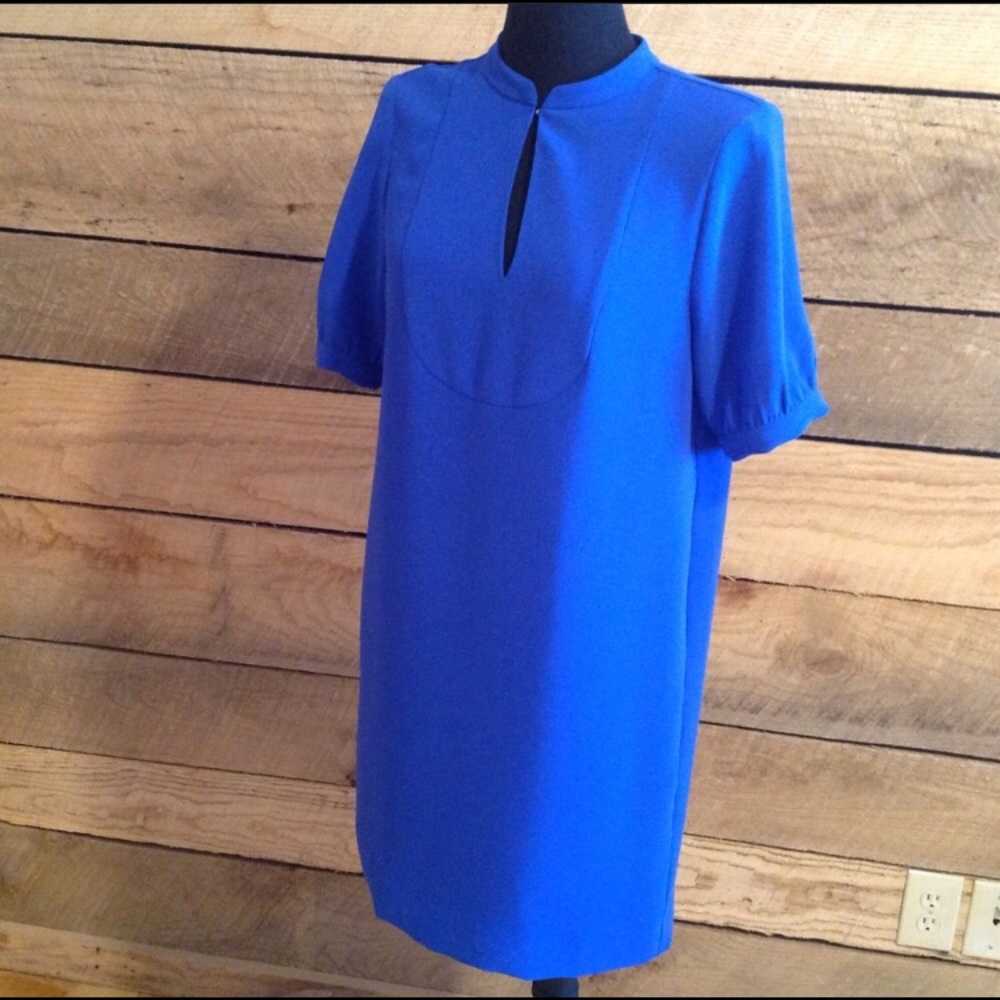 Cobalt Blue Shift Dress (New w/Tags)